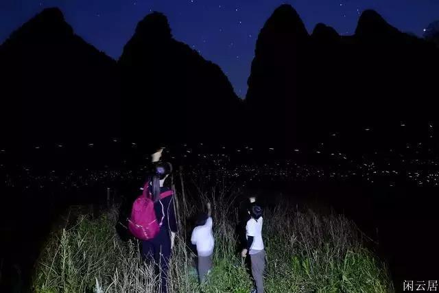 救援男孩贝利