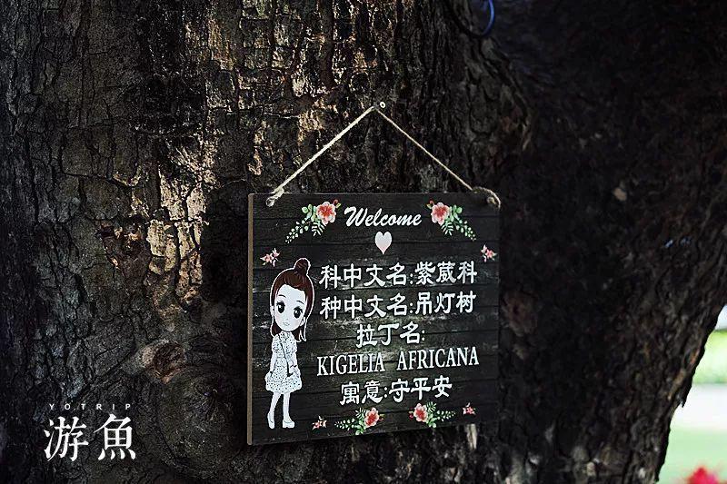 整蛊邻居