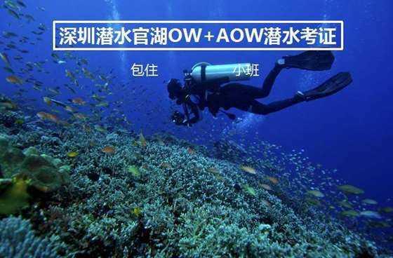 QQ炫舞