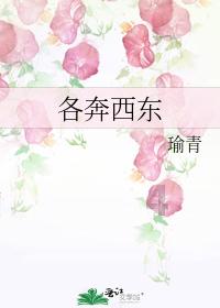 大丛林度假村逃生