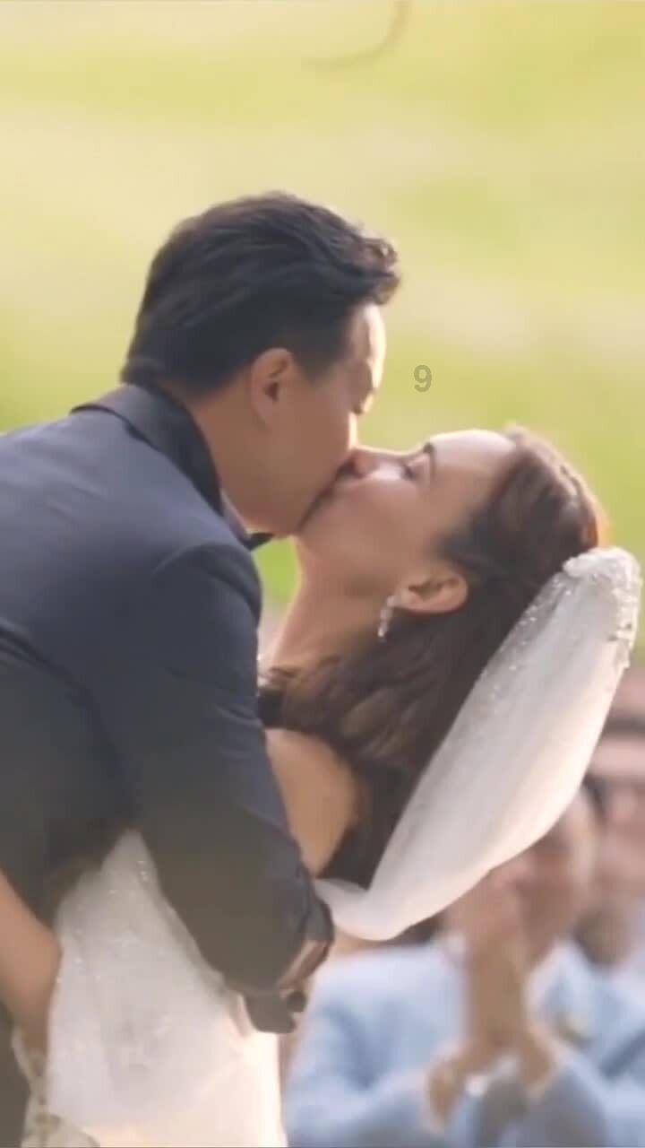 完美的收藏品