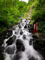 寂静岭5：归乡